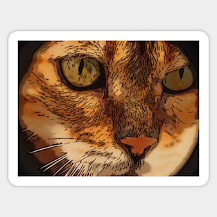 Cat a Tiggy Sticker